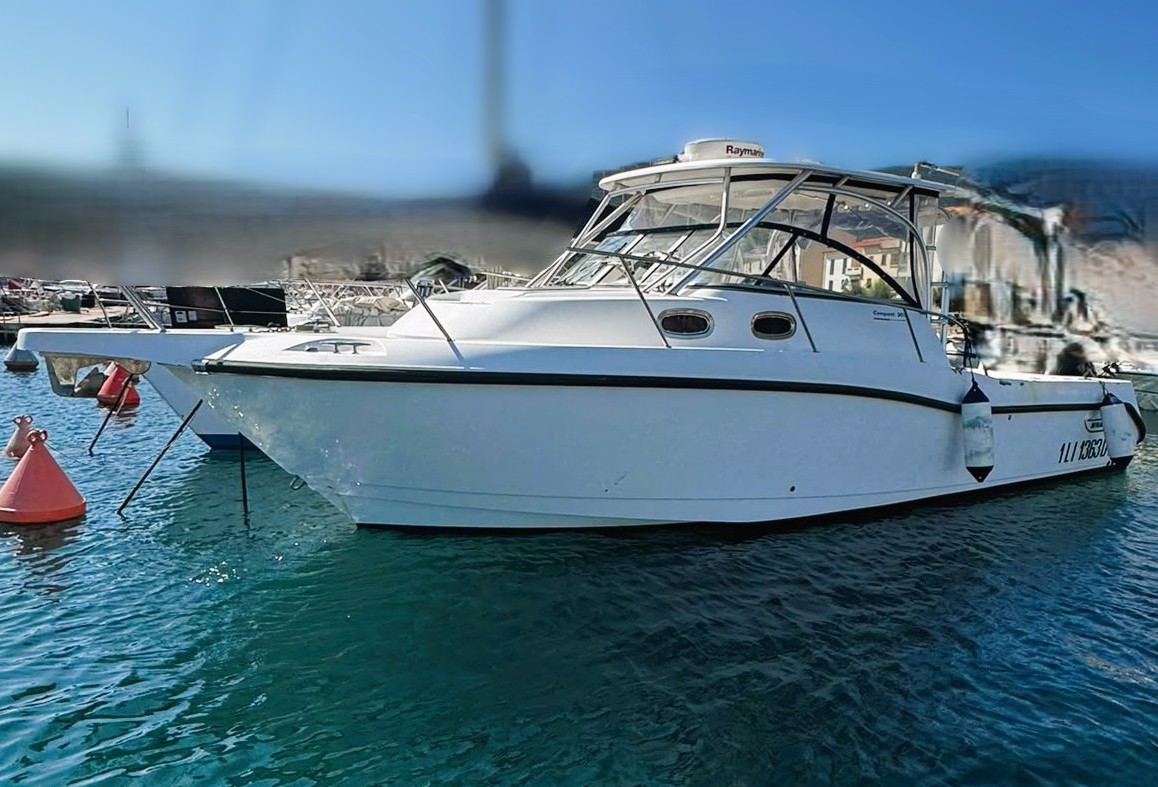 BOSTON WHALER 305 + 2X300 HP MERCURY (2019)<br><a href=dettaglio.aspx?Id=264 >VAI ALLA SCHEDA</a>